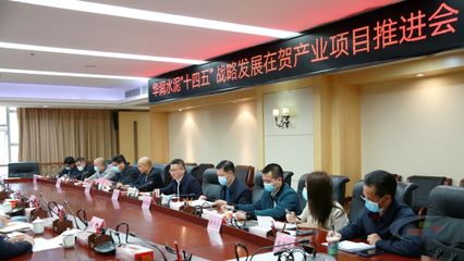 華潤水泥“十四五”戰(zhàn)略發(fā)展在賀產(chǎn)業(yè)項(xiàng)目推進(jìn)會(huì)圓滿舉行，賀州政企合力共繪發(fā)展藍(lán)圖